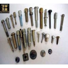 緊固件，螺絲螺母 電驅(qū)軸 電機(jī)配件 非標(biāo)件定做