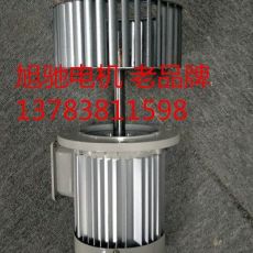 三相電動機(jī)及長軸烘箱熱風(fēng)攪拌中壓耐高溫電機(jī)