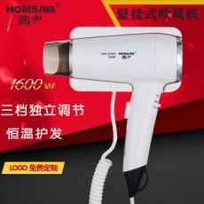 酒店賓館壁掛式電吹風機豪華冷熱風家用干發(fā)器